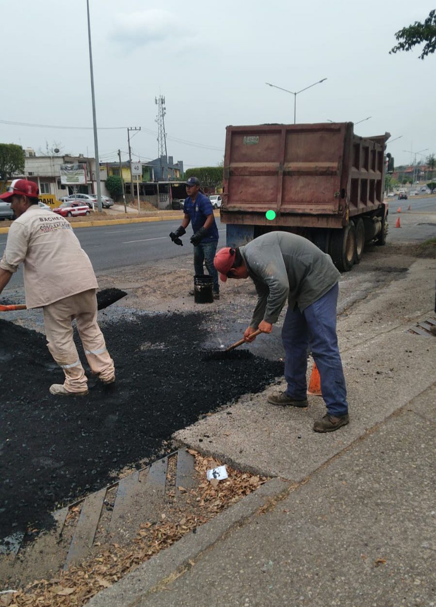 BACHEO TECNOLOGICOS 1