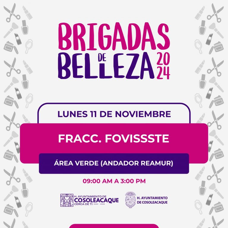 BRIG FOVIS