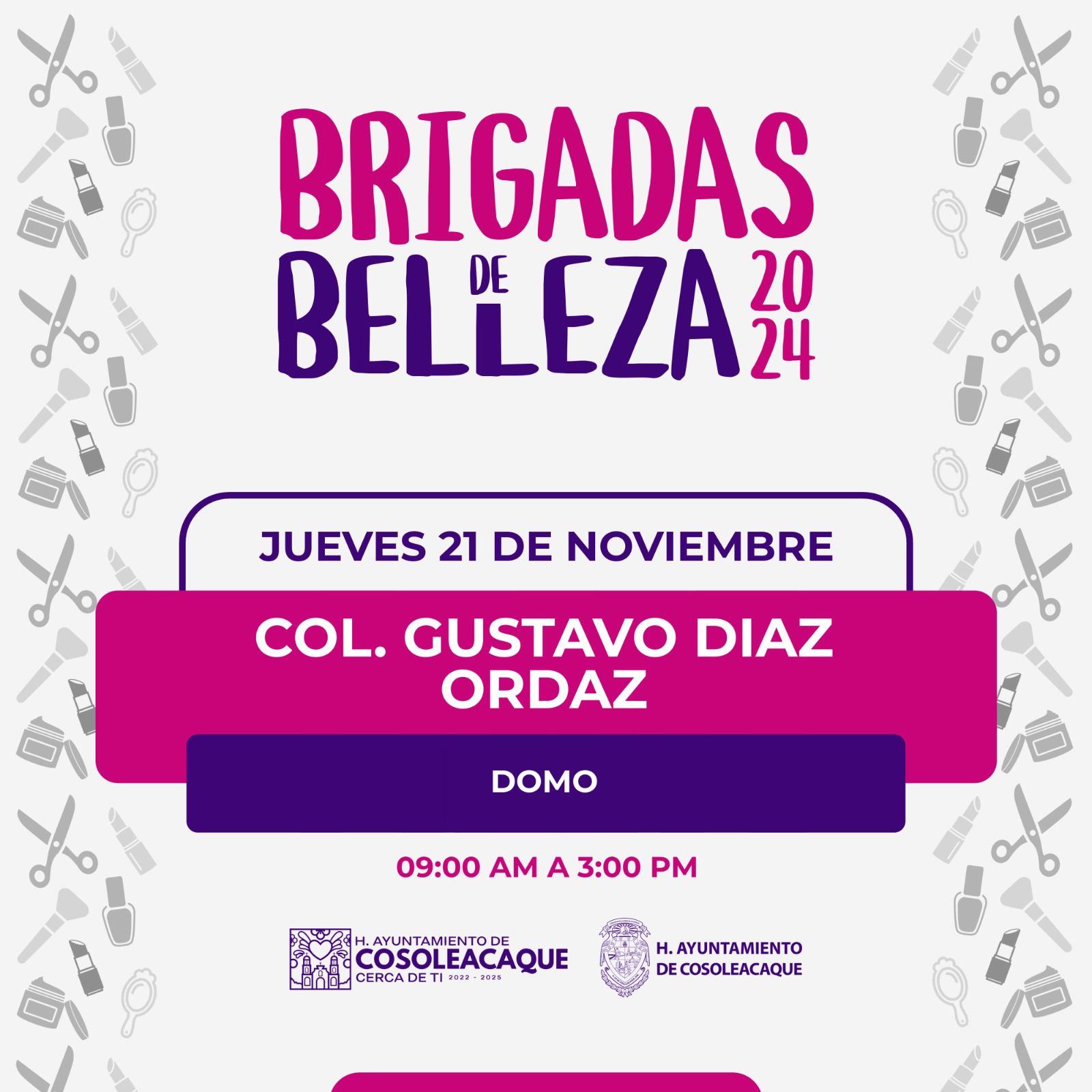 BRIGADAS DIAZ ORDAZ