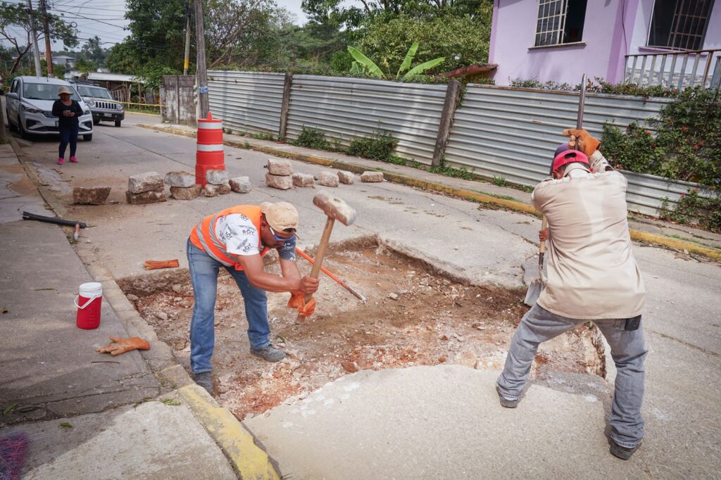 BACHEO 1