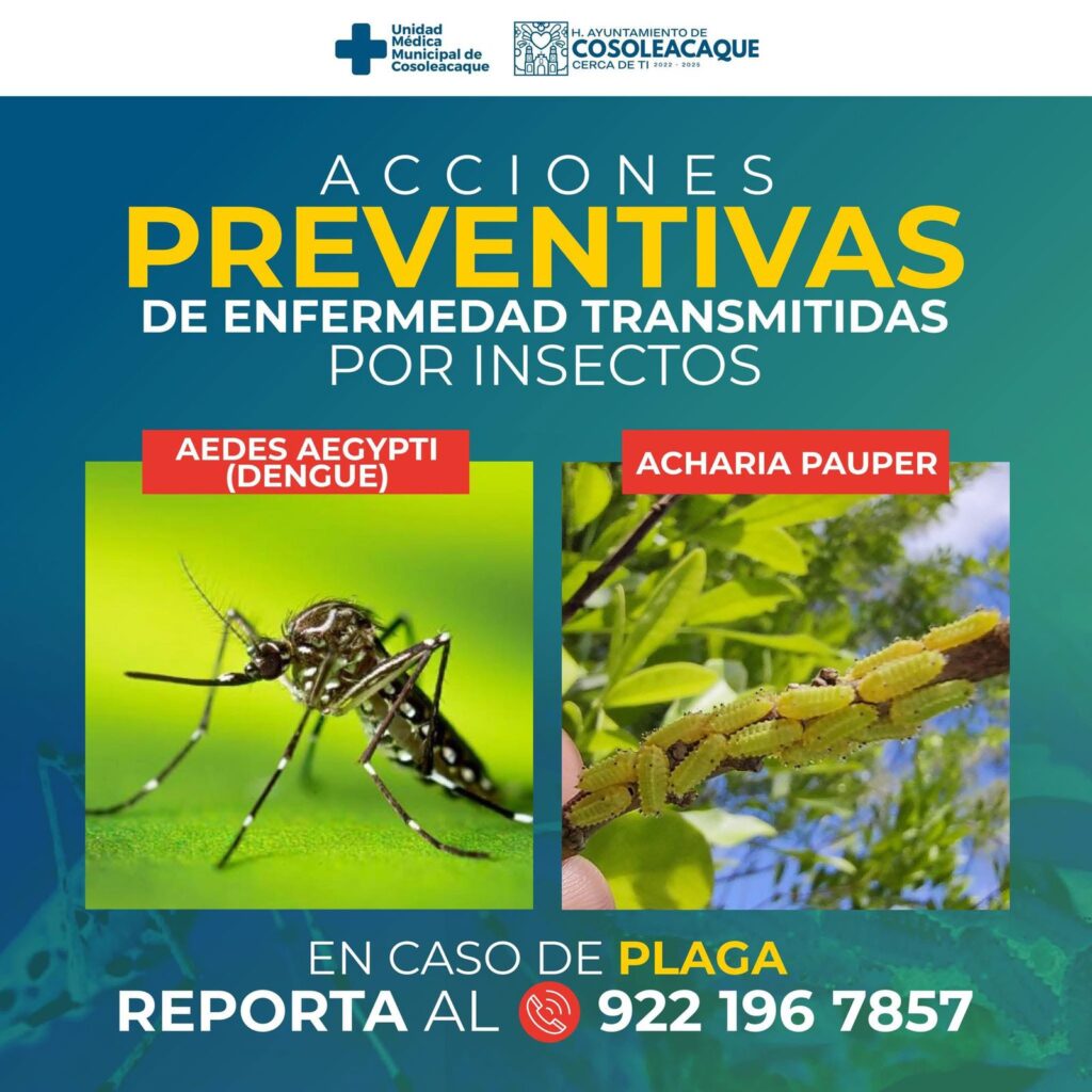 PREVENTIVAS INSECTOS