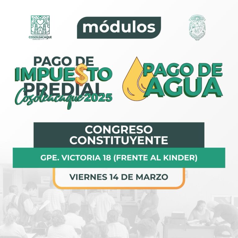 CONSTITUYENTE MODULO