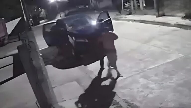 CHINAMECA - GUILLERMO ORTEGA