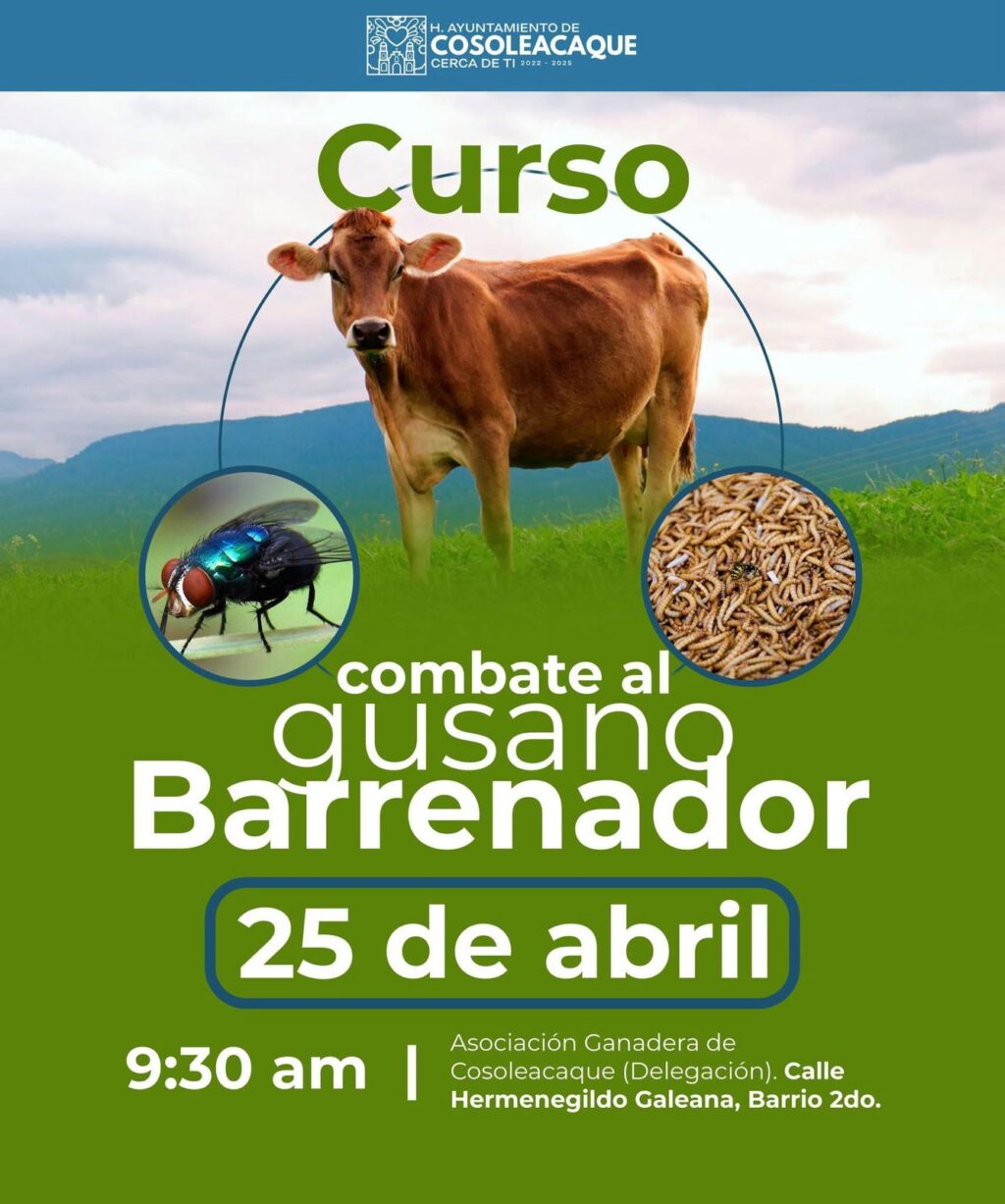 CURSO BARRENADOR