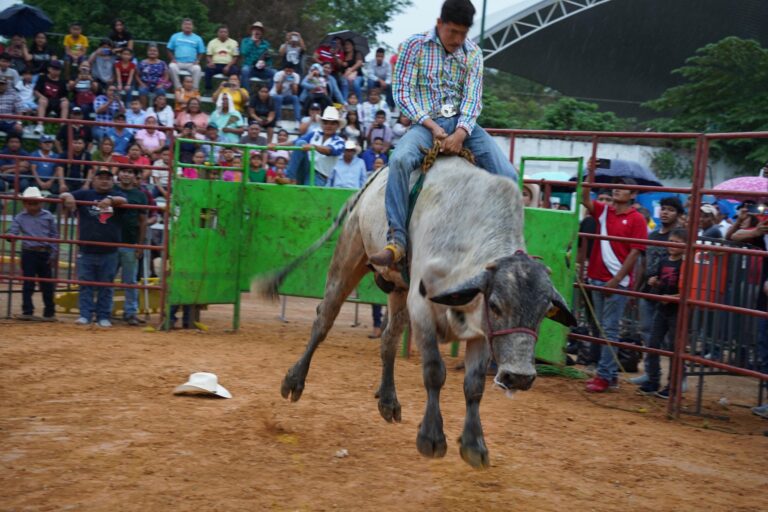 JARIPEO 1