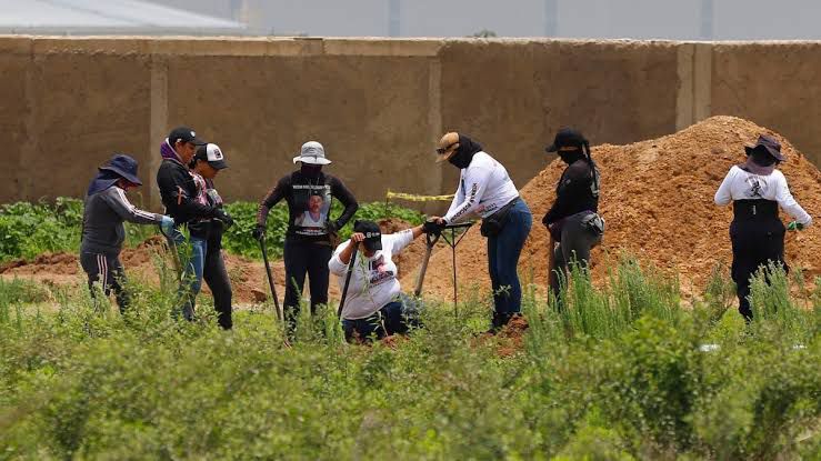 37136217-6112-49a7-a44c-38867801b625