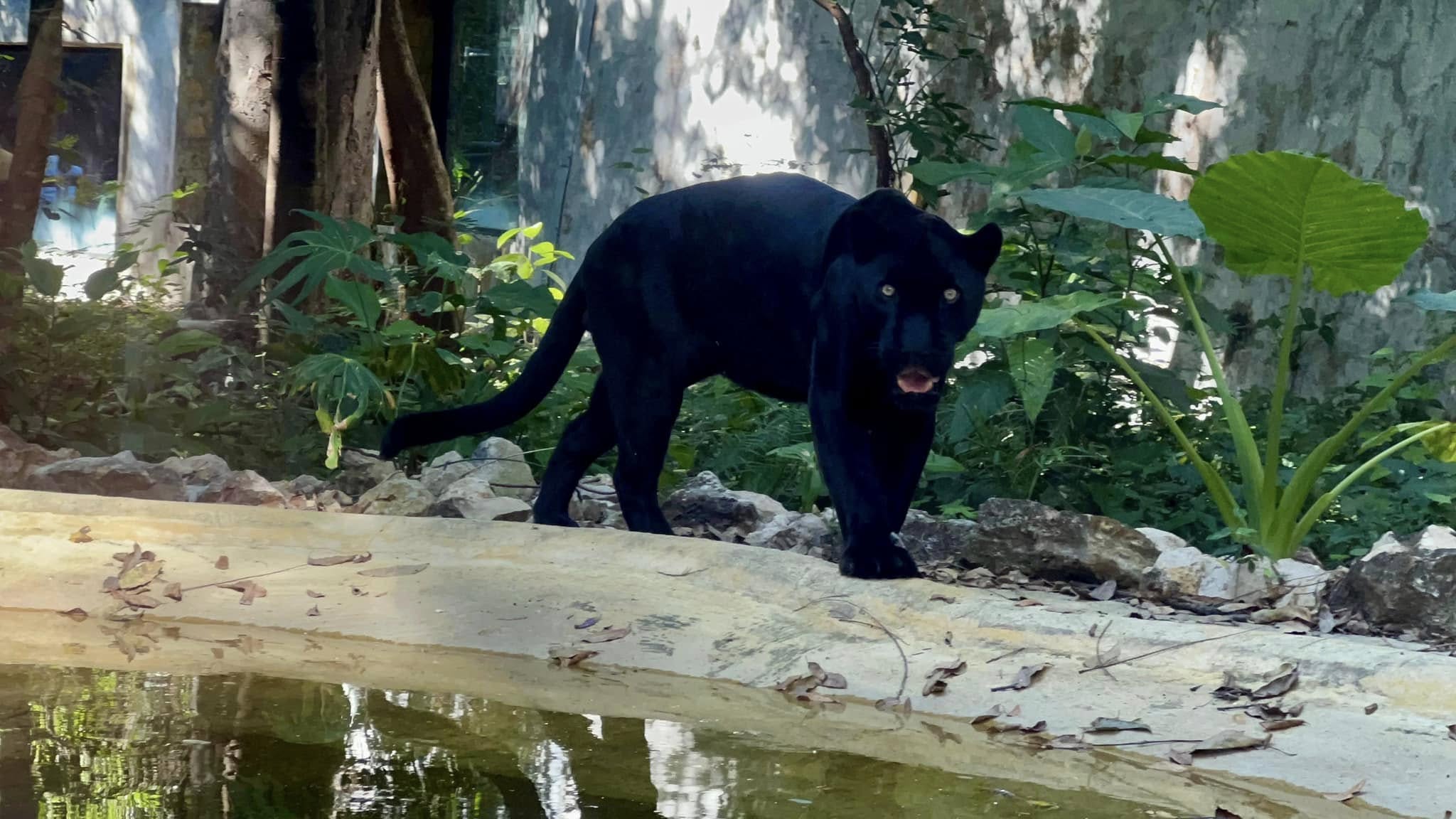 486289440_1077281244441176_3381172460668927680_n