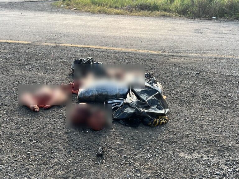 CUERPOS ALAMO TEPETZINTLA