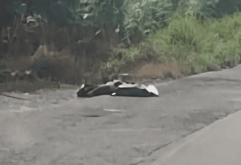 DESMEMBRADO MATA TENATITO 2