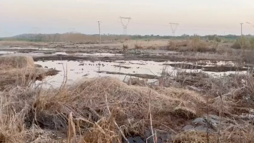 FUGA AMONIACO LAS MATAS 2