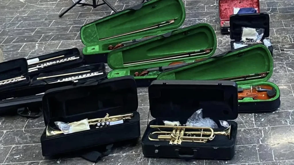 INSTRUMENTOS MUSICALES