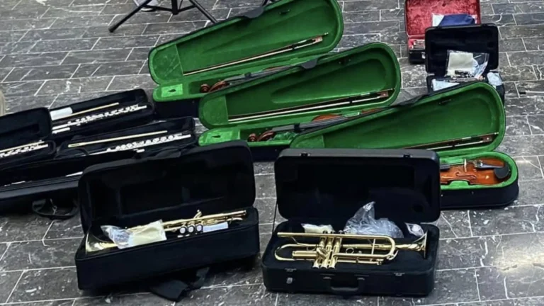 INSTRUMENTOS MUSICALES