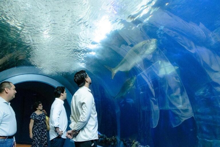 aquarium_de_veracruz_filtraciones_peceras