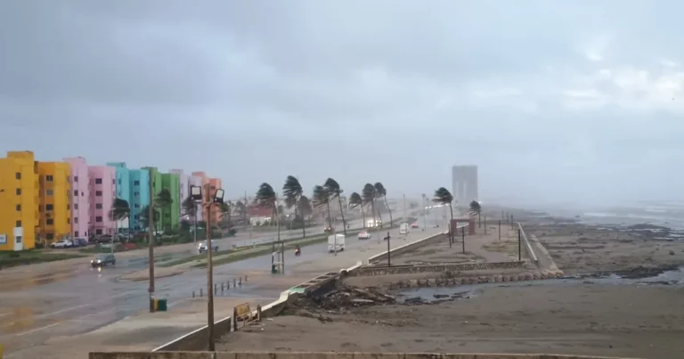 frente_frxo_25_fuertes_vientos_derriban_xrbolesx_postes_y_estructuras_en_coatzacoalcos.jpg_911186587