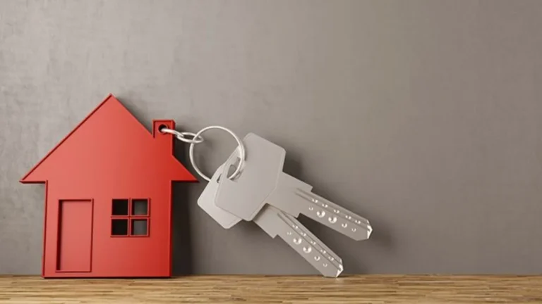 pie-cartel.jpg_719390880