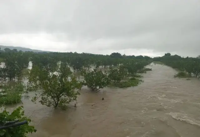 presupuesto-campo-veracruz_1
