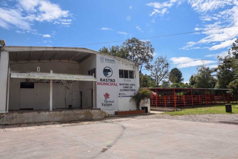 200816-C2636-FOTO-01-Remodelación-Rastro-Municipal