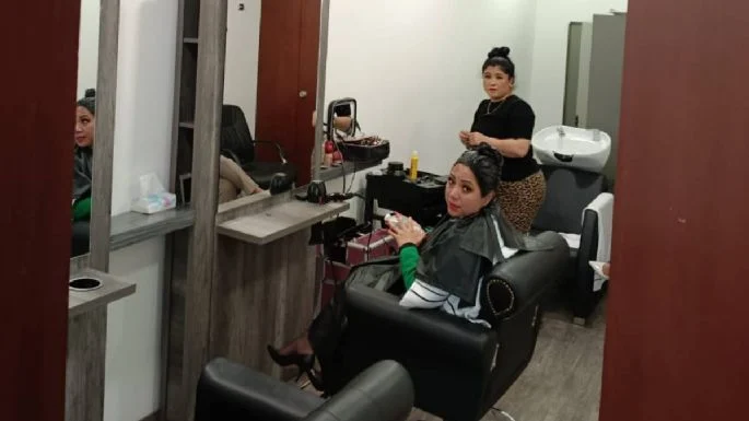 ESTÉTICA EN EL SENADO