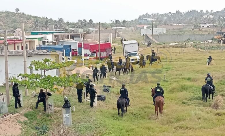 DESALOJO ALMENDROS 3