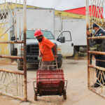 RASTRO LAS CHOAPAS 2