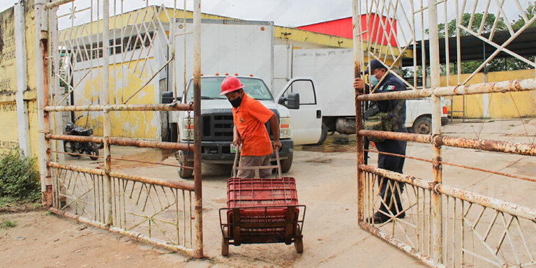 RASTRO LAS CHOAPAS 2