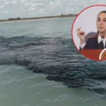 SHEINBAUM DERRAME PETROLEO 1