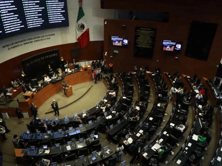 en-vilo-la-aprobacion-hoy-en-el-senado-del-plan-b-electoral_7c63cc2f-2824-414a-b15a-6aa9ed6a9d24_medialjnimgndimage=fullsize