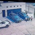 PASEADOR PERROS