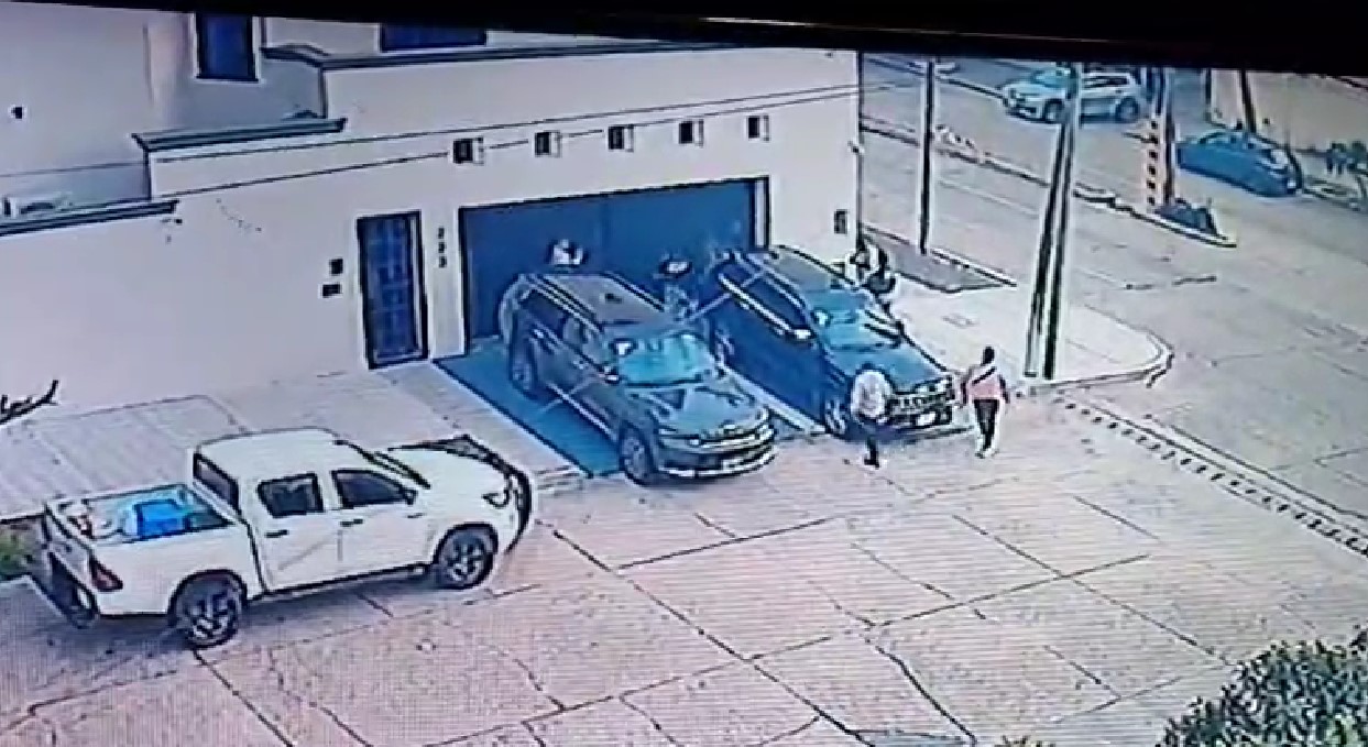 PASEADOR PERROS